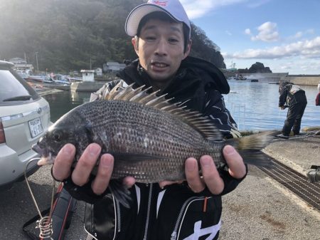 由良渡船 釣果