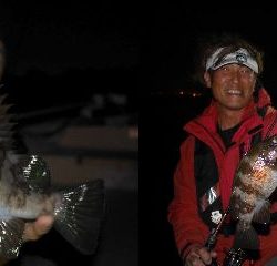 TOPGUN名古屋 釣果