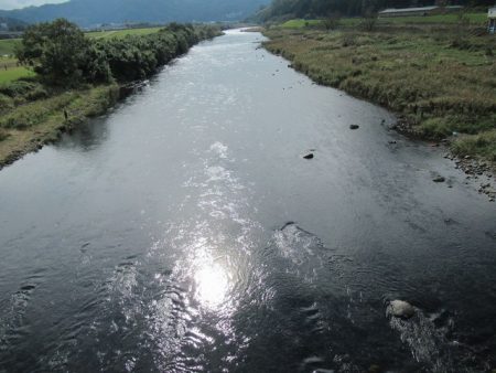 狩野川(狩野川漁業協同組合) 釣果