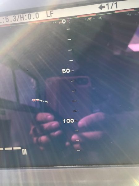 へいみつ丸 釣果