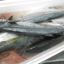 こうゆう丸 釣果