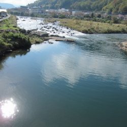 狩野川(狩野川漁業協同組合) 釣果