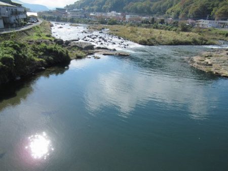 狩野川(狩野川漁業協同組合) 釣果