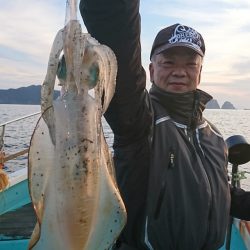 シードリーム 釣果