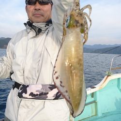 シードリーム 釣果