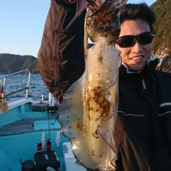 シードリーム 釣果