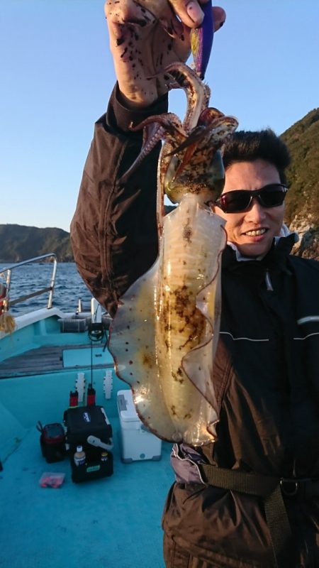 シードリーム 釣果