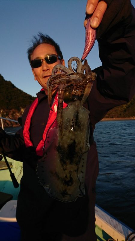 シードリーム 釣果