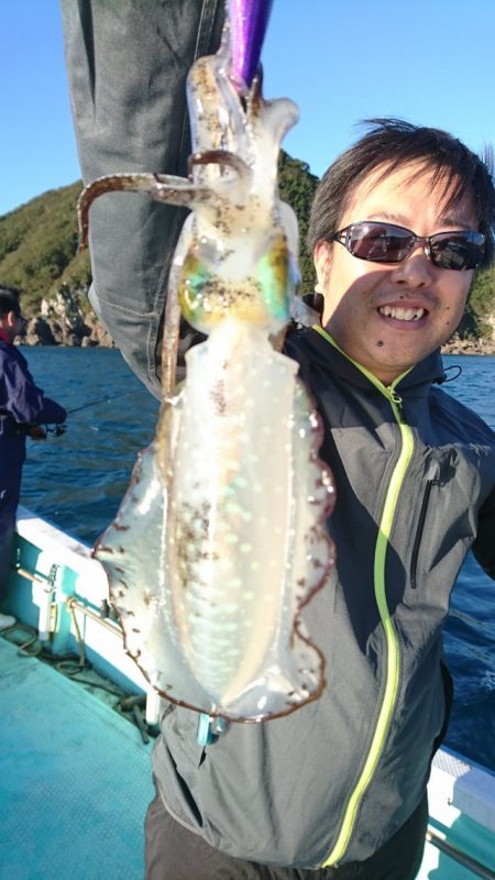 シードリーム 釣果