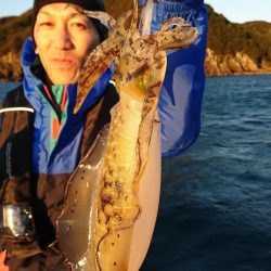 シードリーム 釣果