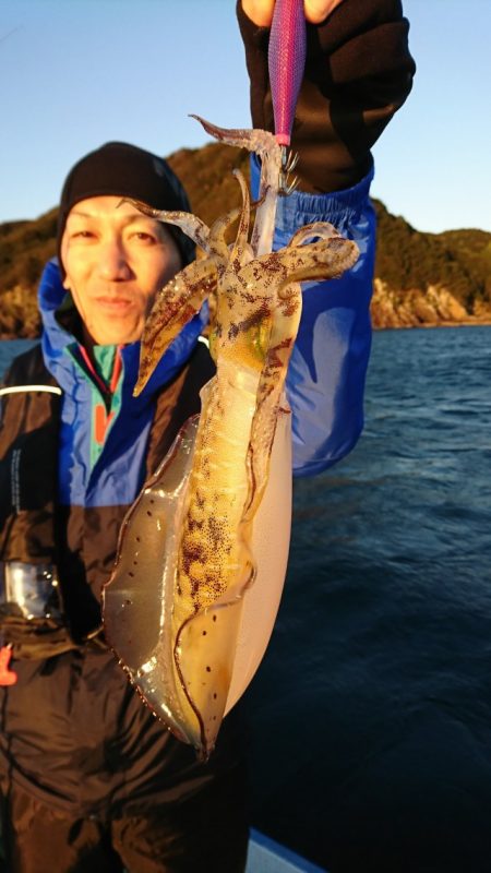 シードリーム 釣果