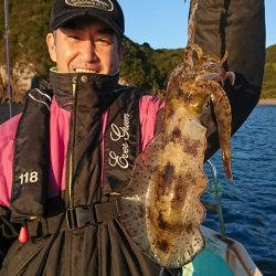 シードリーム 釣果