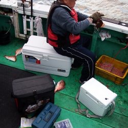 第三むつりょう丸 釣果