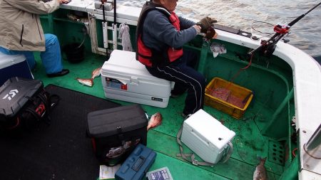 第三むつりょう丸 釣果