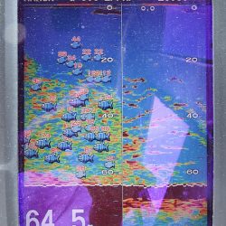 第三むつりょう丸 釣果