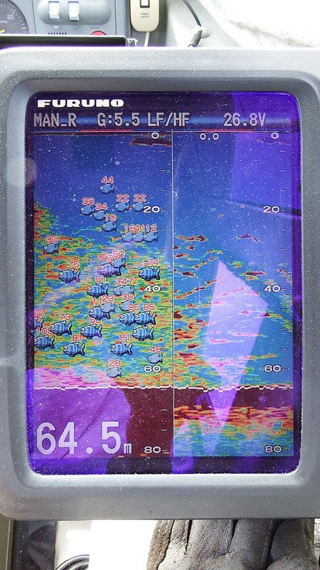 第三むつりょう丸 釣果