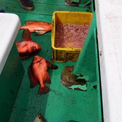 第三むつりょう丸 釣果