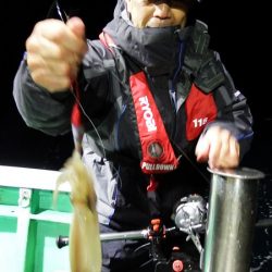 第三むつりょう丸 釣果