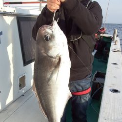 第三むつりょう丸 釣果