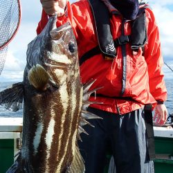 第三むつりょう丸 釣果