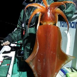 第三むつりょう丸 釣果