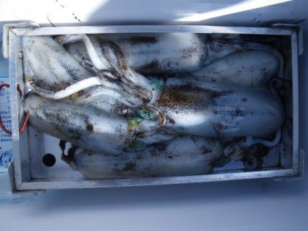 小海途 釣果