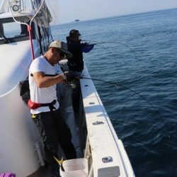 スカイマリン 釣果