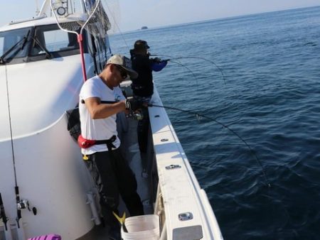 スカイマリン 釣果