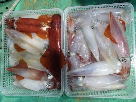 第二むつ漁丸 釣果