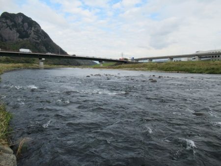 狩野川(狩野川漁業協同組合) 釣果