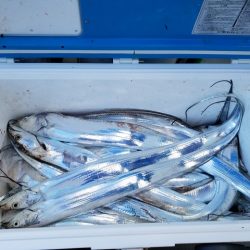 遊漁船 ニライカナイ 釣果