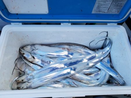 遊漁船 ニライカナイ 釣果