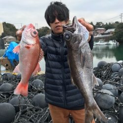 へいみつ丸 釣果