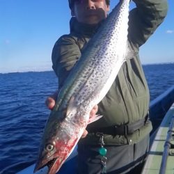 さわ浦丸 釣果