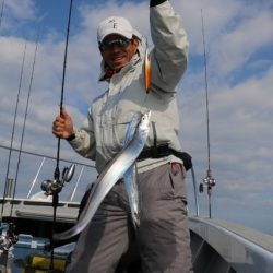 へいみつ丸 釣果