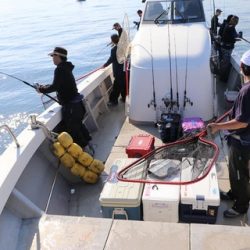 スカイマリン 釣果