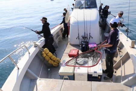 スカイマリン 釣果