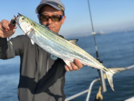 Magic（マジック） 釣果