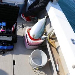 スカイマリン 釣果