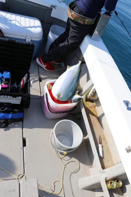 スカイマリン 釣果