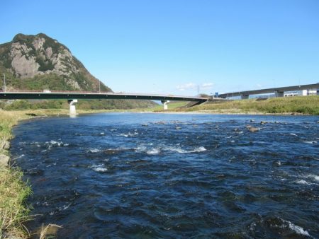 狩野川(狩野川漁業協同組合) 釣果