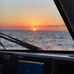 へいみつ丸 釣果