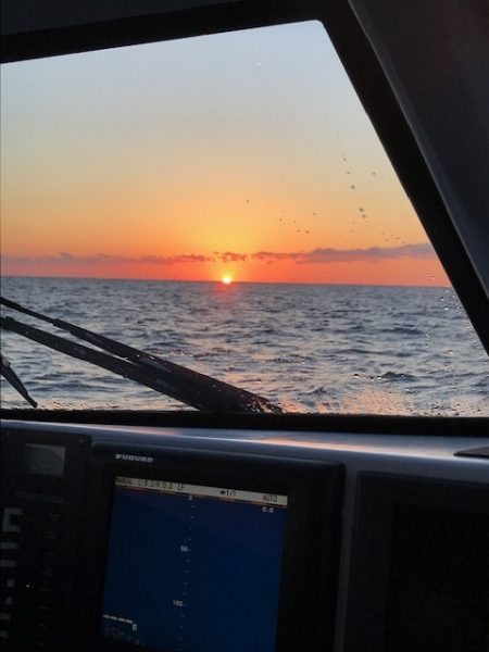 へいみつ丸 釣果