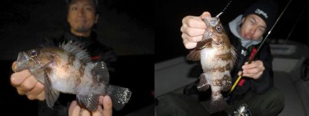 TOPGUN名古屋 釣果