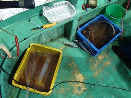 第二むつ漁丸 釣果