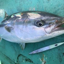 広進丸 釣果