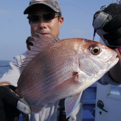 松鶴丸 釣果