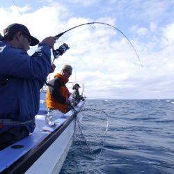 松鶴丸 釣果