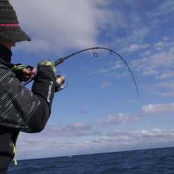松鶴丸 釣果