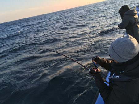松鶴丸 釣果